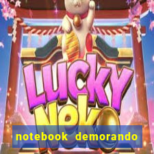 notebook demorando para ligar tela preta